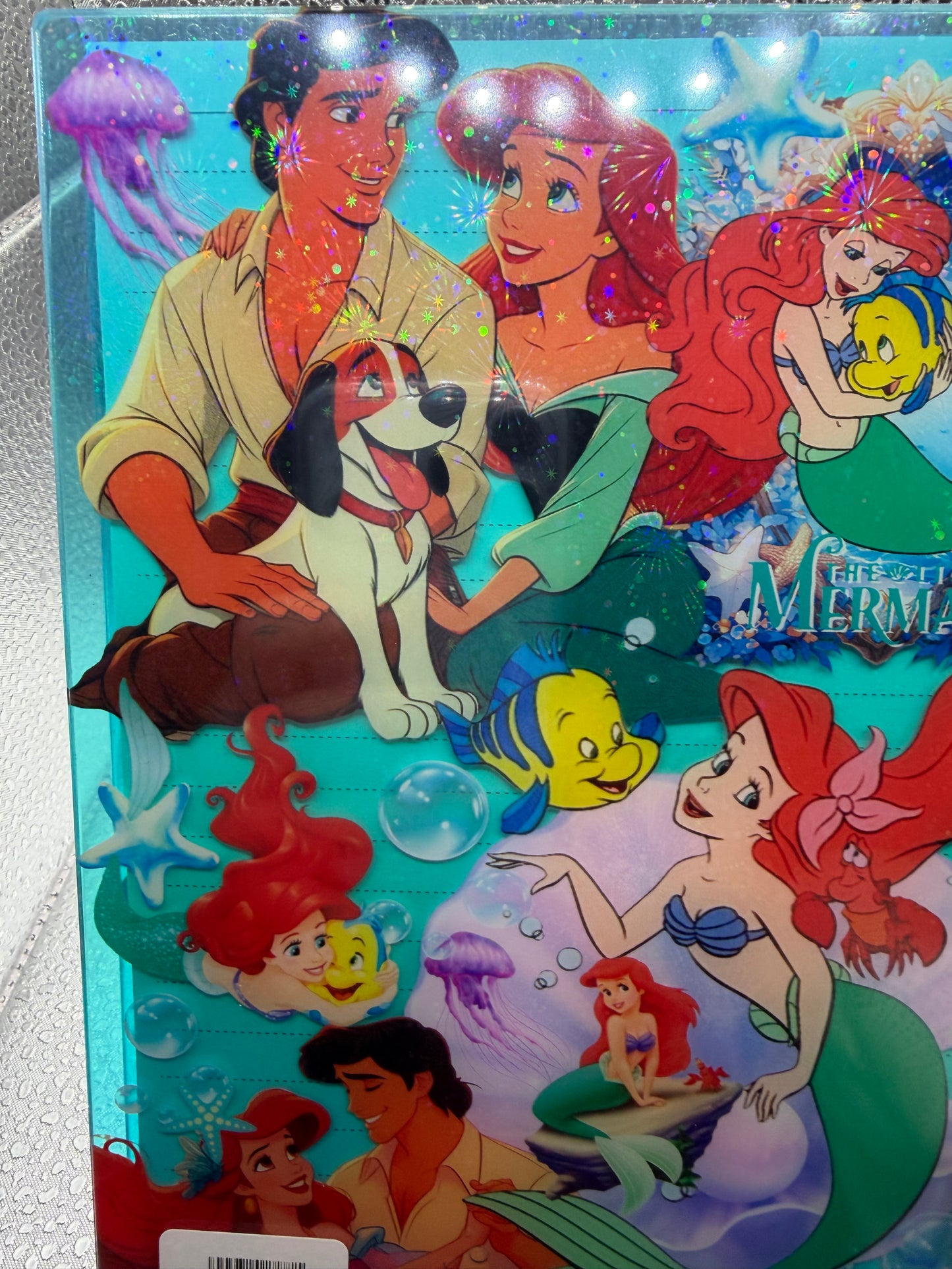 Little Mermaid Shaker Notebook